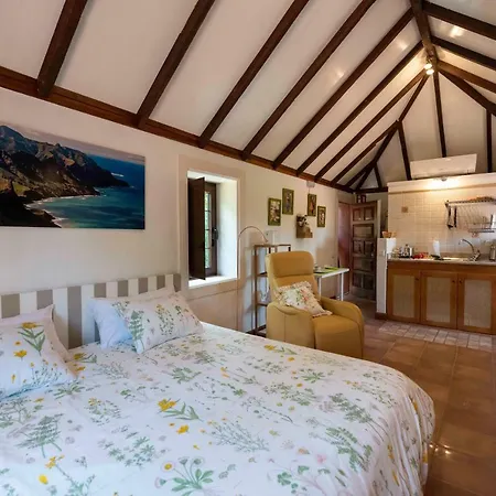 Apartment Rincon De Abanes - Casa Jardin-vv