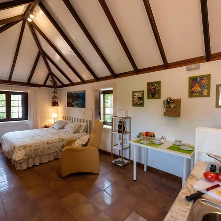 Rincon De Abanes - Casa Jardin-vv Apartment *