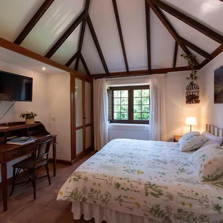 Appartamento Rincon De Abanes - Casa Jardin-vv La Laguna (Tenerife)